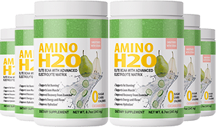 Amino H2O Summer Lemonade 6 Bottle Package