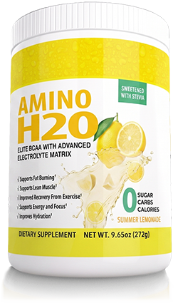 Amino H2O Summer Lemonade 1 Bottle Package