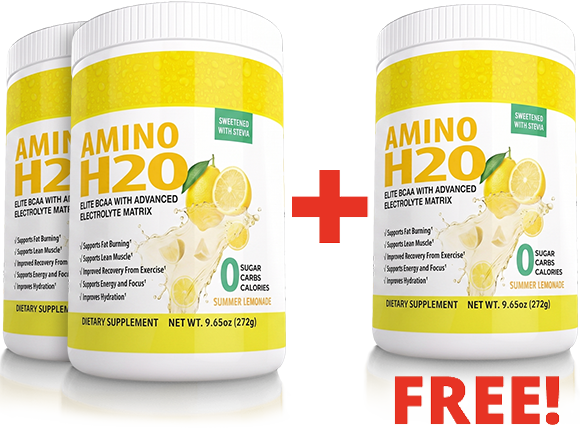 Amino H2O Summer Lemonade 3 Bottle Package
