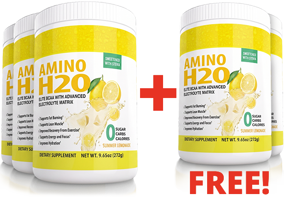 Amino H2O Summer Lemonade 5 Bottle Package