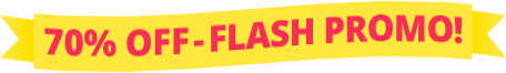 Flash Promo Sale